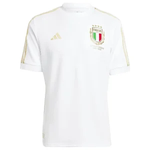 Italy 125th Anniversary Away Jersey 2023-2024